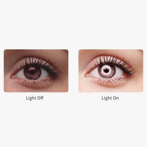 "Vlog-fény"-Jinbei EFR-48 LED körlámpa állvánnyal