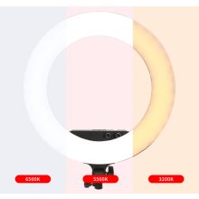 "Vlog-fény"-Jinbei EFR-48 LED körlámpa állvánnyal