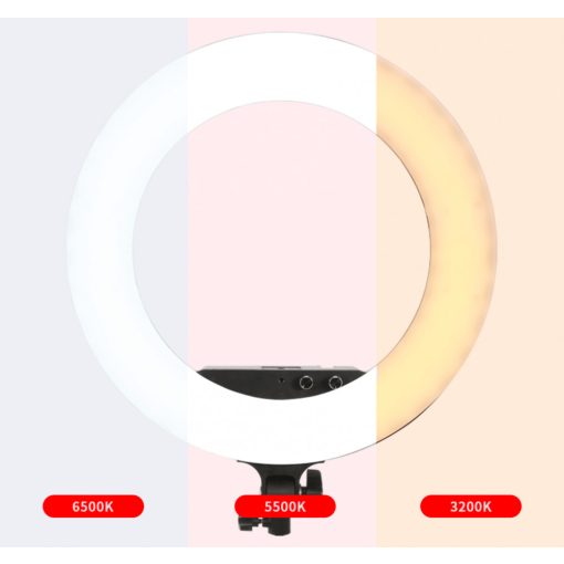 "Vlog-fény"-Jinbei EFR-48 LED körlámpa állvánnyal