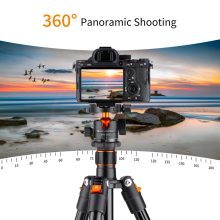 K&F Concept K234A1+BH-28L állvány, 156cm magasság, 10kg teherbírás (KF-09-080V1)