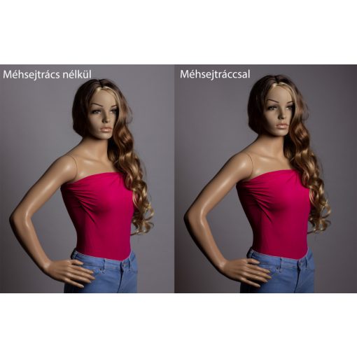 Godox 60x60cm-es softbox rendszervakukhoz - S2 S-type tartóval és méhsejtráccsal hordtáskában SGGV6060