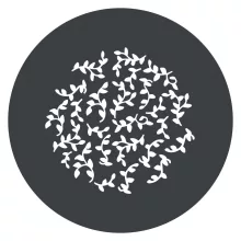 Godox GP GS2 GOBO Set (MG1200Bi)