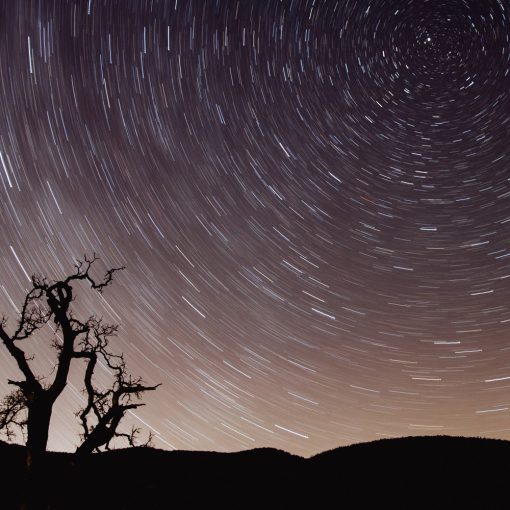 Godox XR Vevőegység - Canon/Nikon