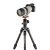   Manfrotto Befree GT Karbon tekerős lábzár+gömbfej Sony Alpha kamerához (MKBFRTC4GTA-BH)