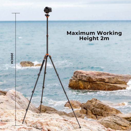 K&F Concept K234A7+BH28L állvány, 200cm magasság, 10kg teherbírás, telefonadapter (KF-09-087V7)